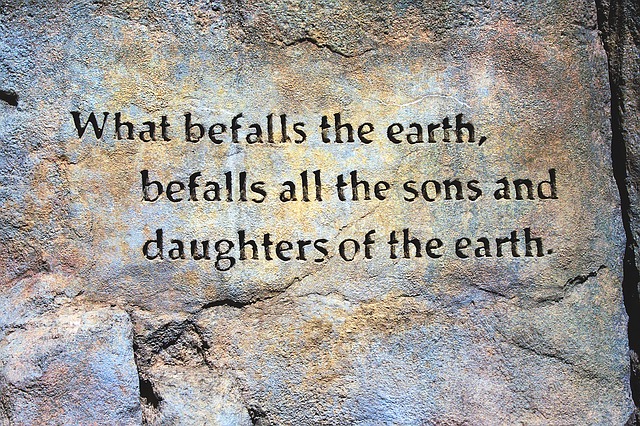 earth quote